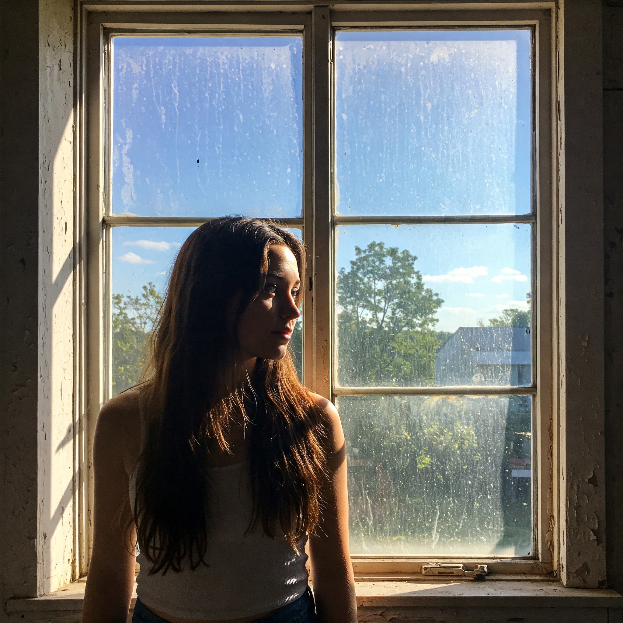 The Health Benefits of Clean Windows (Less Dust and Allergens)